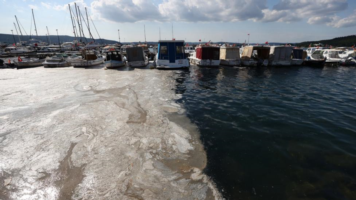 Marmara’da müsilaj sorunu: ‘Çözüm arayanlar tozlu raflara baksınlar’ 